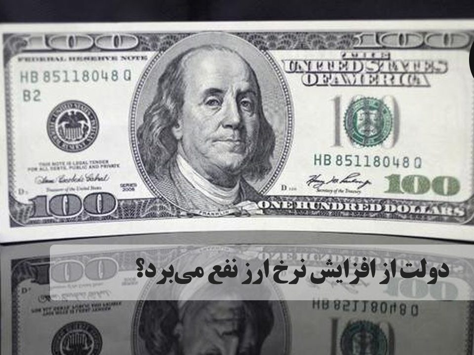 ​برخی بر این تئوری توطئه می‌دمند که افزایش نرخ ارز کار خودشان است. کار دولت یا بانک مرکزی